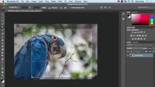 Photoshop Crop Tool