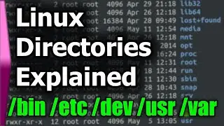 Linux File System/Structure Explained!