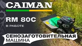 Косилка для высокой травы / сенозаготовительная машина Caiman RM 80C в работе