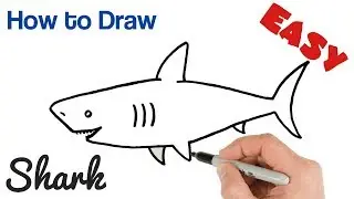 How to Draw a Shark Easy Step by Step