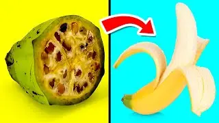 Еда, Которая Раньше Выглядела Иначе