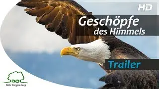 GESCHÖPFE DES HIMMELS - Offizieller Trailer - deutsch
