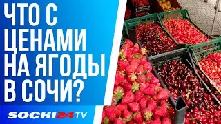 ЧТО ПРОИСХОДИТ С ЦЕНАМИ НА ЯГОДЫ?