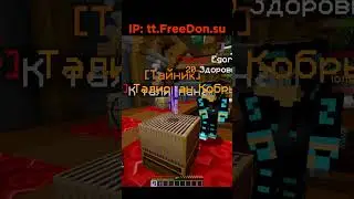 Лутай Донат на Анархия FUNTIME ПвП | Копии Фантайм PVP | FreeDon |