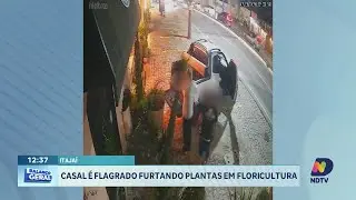 Casal é flagrado furtando plantas de floricultura em Itajaí