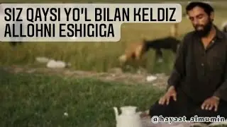 Siz qaysi yo'l bilan keldiz....