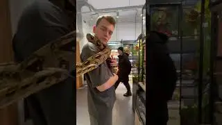 Наш совет в конце 🐍 