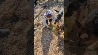 ВОТ ТАК НАХОДКА! 