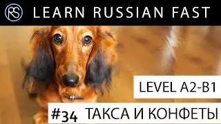 Story #34. THE DACHSHUND AND SWEETS. Text + Audio + Eng.Subs. Learn Russian with Short Stories.