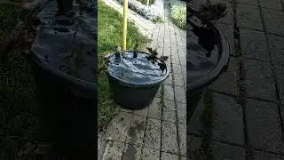 Жара.