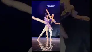 Ballet is beautiful 🥹❤️🩰 