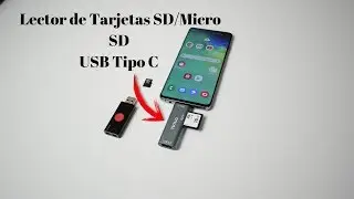 Lector de Tarjetas SD/Micro SD USB Tipo C