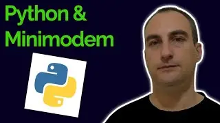 Python Custom Ping of IP or Domain - Minimodem