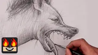 How To Draw a Hyena | Pencil Drawing Lesson