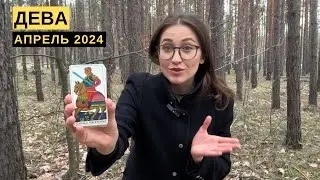 ДЕВА • АПРЕЛЬ 2024 • Таро Прогноз от Diva V.S / Виктория Штелльхорн
