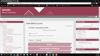 Group Assignments in Moodle