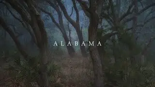 Photography in Foggy Alabama