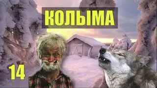 ОТШЕЛЬНИК ДЕД АВТОРИТЕТ НА ЗОНЕ ТЮРЬМА СУДЬБА ЧЕЛОВЕКА ЖИЗНЬ в ТАЙГЕ КОЛЫМА ЛЕСНА ИЗБА и ВОЛК 14