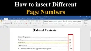 How to insert Roman Numerals and English Numbers in MS Word || How to insert different page numbers