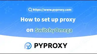 PYPROXY|How to set up proxy on SwitchyOmega?