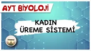AYT Biyoloji | Kadın Üreme Sistemi #sayfa116