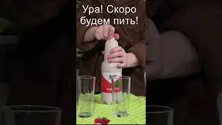 У вас так же? Максым - национальный напиток, не требующий спешки. Кыргызстан. 