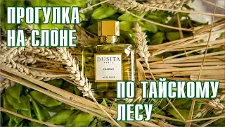 ПЕРВЫЙ ВАУ-ЭФФЕКТ-2024! DUSITA PARFUMS - ERAWAN // ОБЗОР АРОМАТА