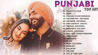 Punjabi Latest Songs | Top Hits Punjabi Songs 2023 - Naah, Laung Laachi Title, Kurta Pajama,Phulkari