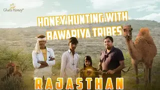*Bawariya* Honey Hunters || Rajasthan Desert villages || Tamil Documentary