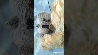 новый басик?🙀 видео с басиками. извините что так долго не было видео💜💜