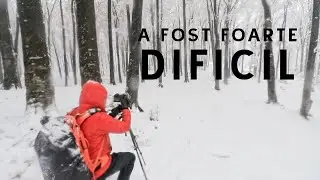 Padurea iarna - Sfaturi fotografie de peisaj iarna