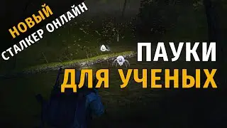 29. Пауки для ученых. Новый Сталкер Онлайн, СПБ сервер.