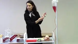 Преаналитика. Алгоритм взятие венозной крови у детей. Стандартные операционные процедуры