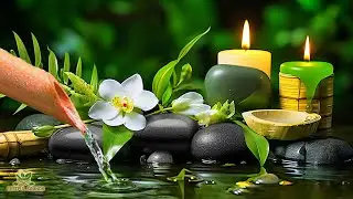 Relaxing Zen Music - Meditation Music, Peaceful Music, Bamboo,Relaxing Music,Nature Sounds, Spa, BGM