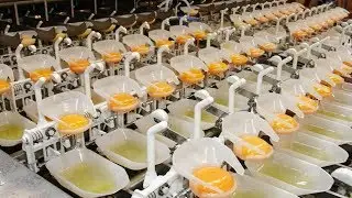 INSANE MANUFACTURING PROCESSES EVERYONE SHOULD SEE