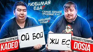 Dosia и kade0 отвечают на вопросы о себе!