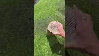 POV: Testing the new Android