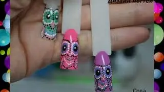 Winter nail design , Nail Art Design, Owl Just