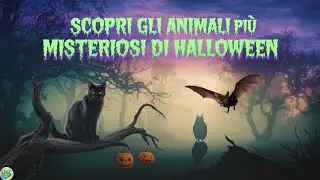 Scopri gli Animali più Misteriosi di Halloween!