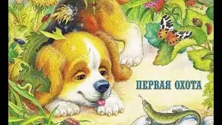 Виталий Бианки ПЕРВАЯ ОХОТА