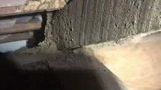 Removing a termite nest from a roof void