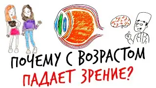 Почему с возрастом ПАДАЕТ ЗРЕНИЕ? — Научпок