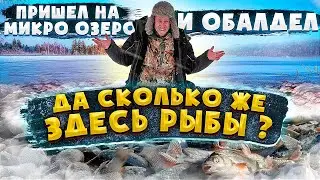 ДИКОЕ МИКРО ОЗЕРО И ОБАЛДЕЛ!!! ДА СКОЛЬКО ЖЕ ЗДЕСЬ РЫБЫ!!! Друзья пришли на помощь