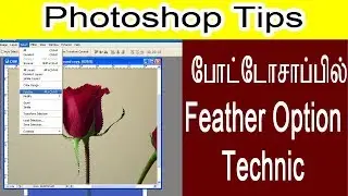 How to use feather in photoshop cs3