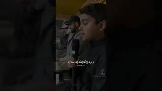 Аллахума Барик ❤️ какой красивый голос ,#quran #palestine #dua #islam