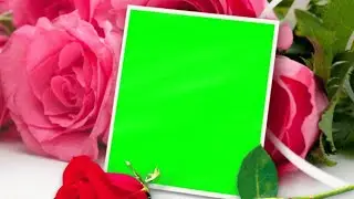 New Wedding Green Screen Effects Video||Background Effects|Green Screen Effects|Green Screen Video