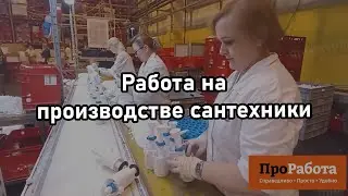 Как работают на крупных производствах?