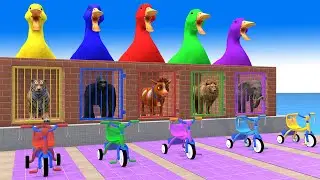 5 Giant Duck Cartoon Cow Elephant Tiger Gorilla Lion 3d Animal Game Funny 3d Paint Animals Cage Game