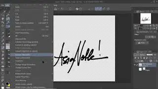 Create Your Own Watermark, Stamp, Signature in Clip Studio Paint (CSP)