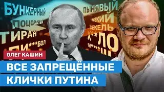 КАШИН: Список запрещённых кличек Путина от Роскомнадзора стоит расширить новыми словами